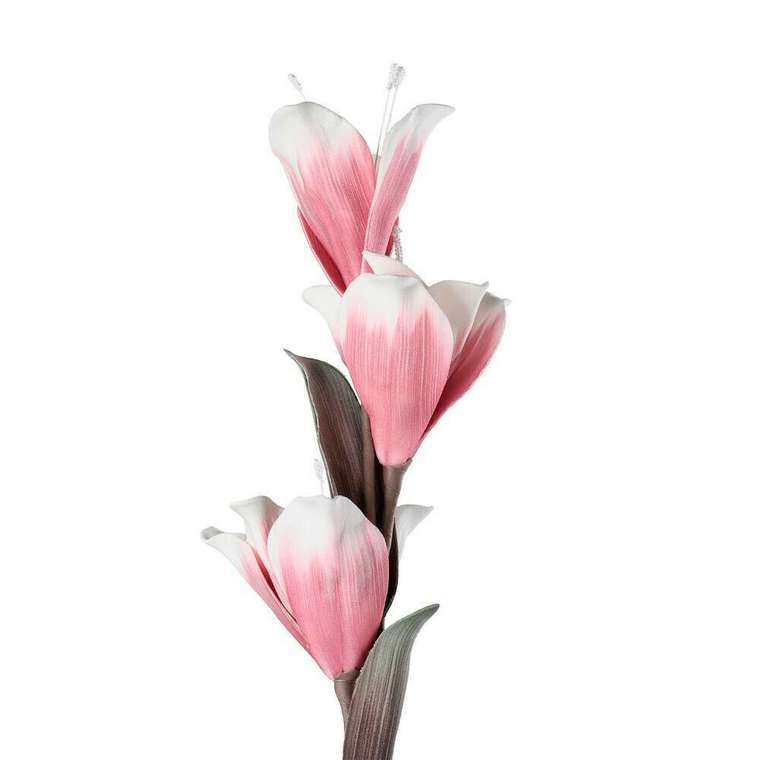 Искусственное растение Molave розового цвета
