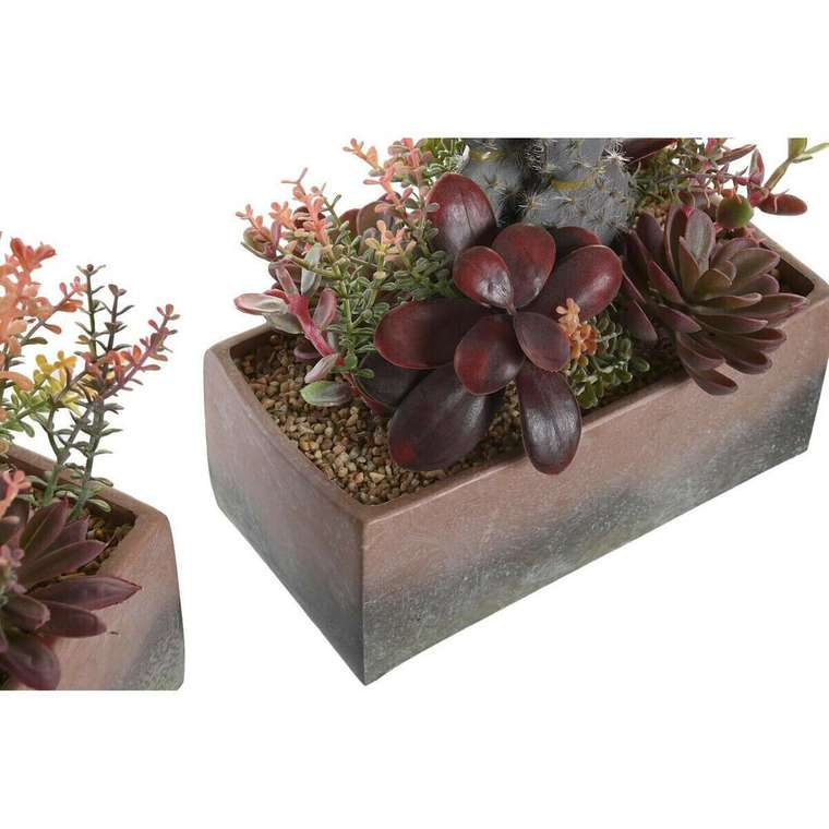 Декоративное растение 19 x 9 x 22 cm Розовый Оранжевый Кактус Резина Eva полипропилен (2 штук)
