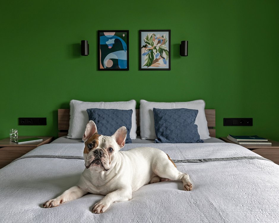 Фотография: Спальня в стиле Современный, Квартира, Проект недели, Санкт-Петербург, 3 комнаты, 60-90 метров, SnetDesign, Екатерина Безъязычная – фото на INMYROOM