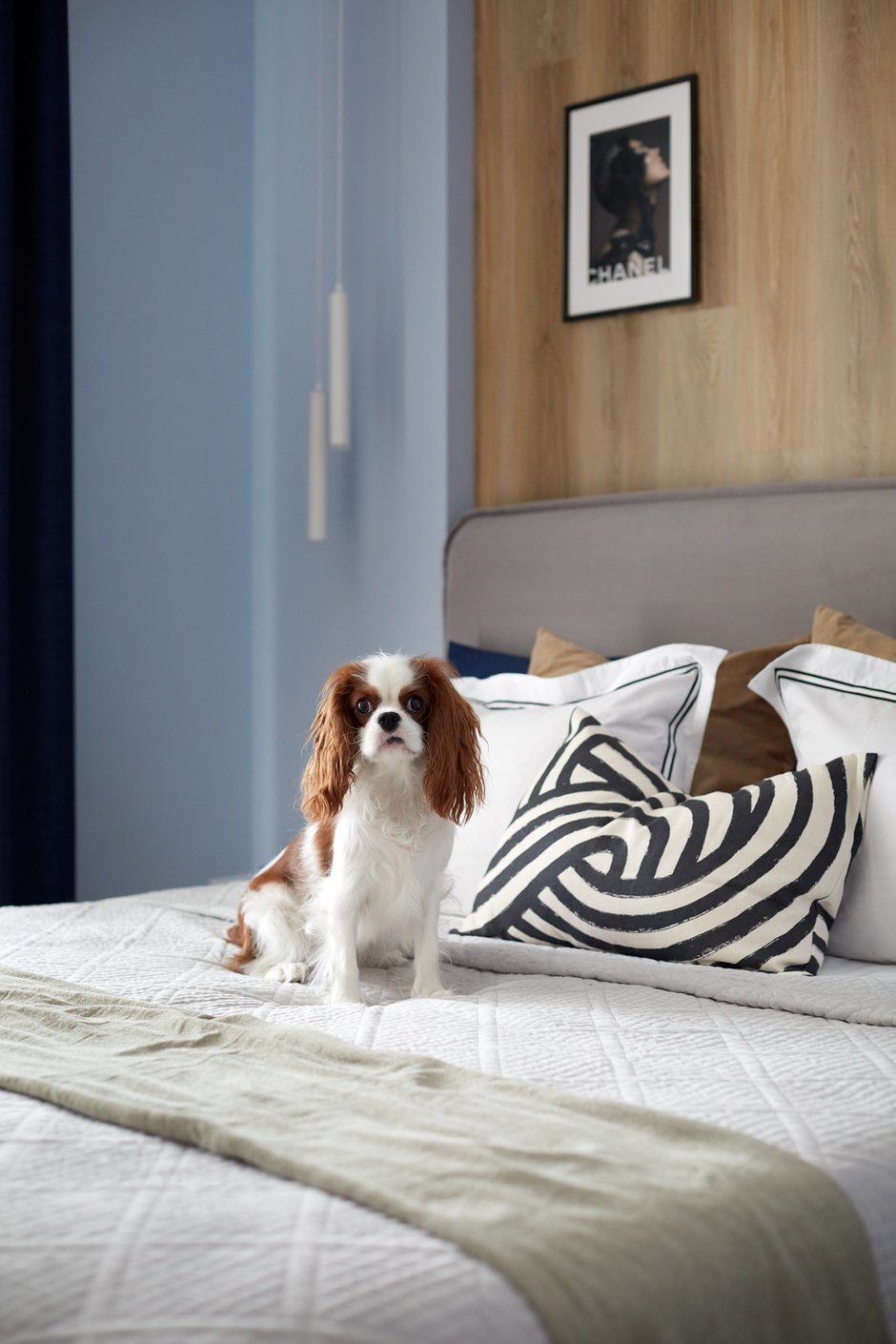 Фотография: Спальня в стиле Современный, Квартира, Проект недели, Москва, «Атмосфера», 3 комнаты, 60-90 метров – фото на INMYROOM