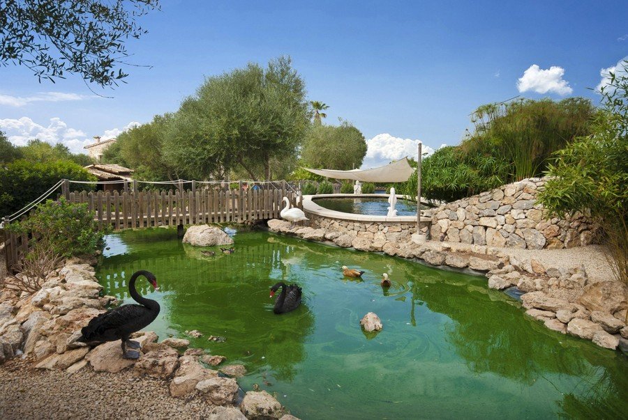 Фотография: Ландшафт в стиле , Дом, Испания, Дома и квартиры, Средиземноморский – фото на INMYROOM