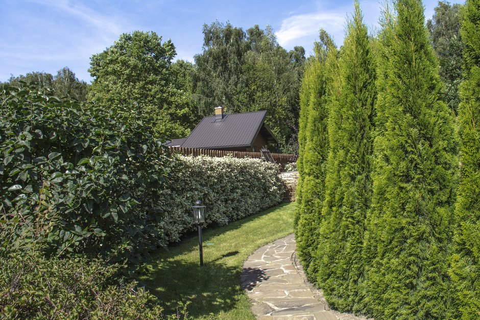 Фотография:  в стиле , Дом и дача, Московская область, Panfilov Architects – фото на INMYROOM