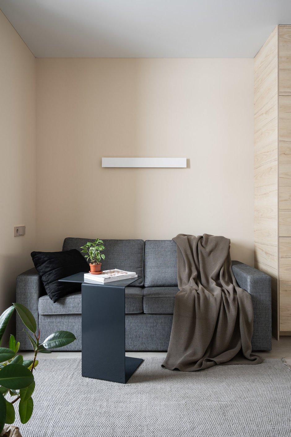 Фотография: Гостиная в стиле Современный, Минимализм, Квартира, Студия, Проект недели, Санкт-Петербург, до 40 метров, Avoid Bad Architecture – фото на INMYROOM