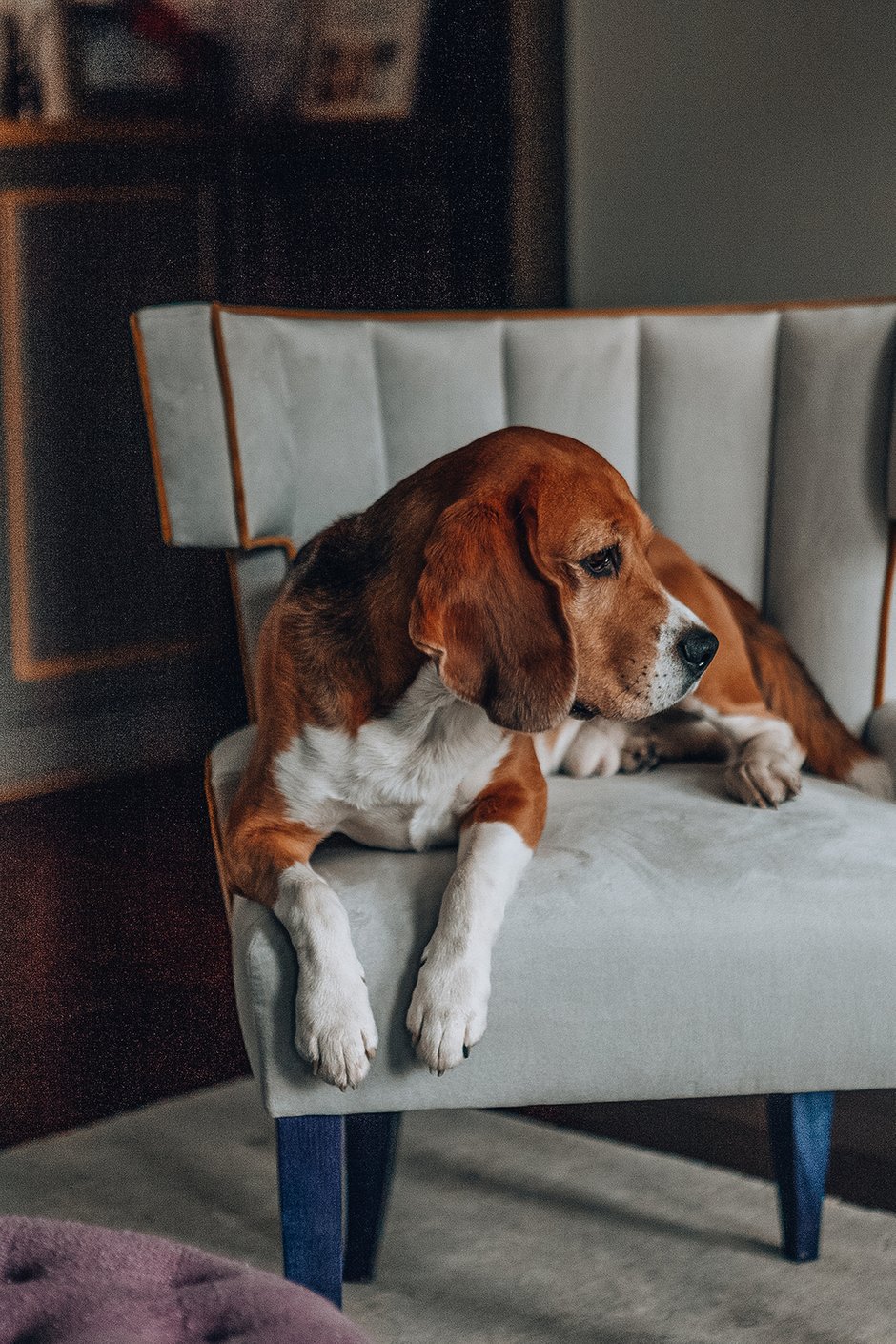 Фотография: Гостиная в стиле Классический, Современный, Квартира, Проект недели, Санкт-Петербург, 3 комнаты, 60-90 метров, Наталья Комова – фото на INMYROOM