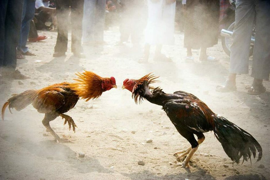 Фото: pinterest.com