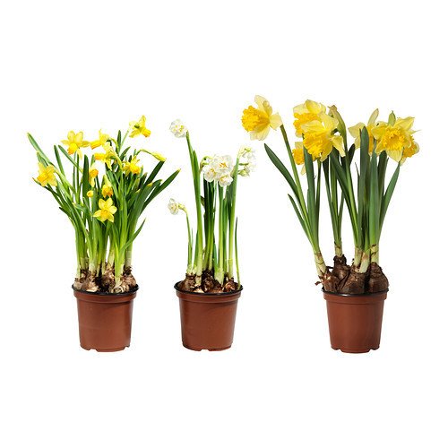 Фотография: Спальня в стиле Скандинавский, Прованс и Кантри, Карта покупок, Франция, Праздник, Индустрия, IKEA, Цветы, Zara Home, Roommy.ru, Debenhams, 8 марта – фото на INMYROOM