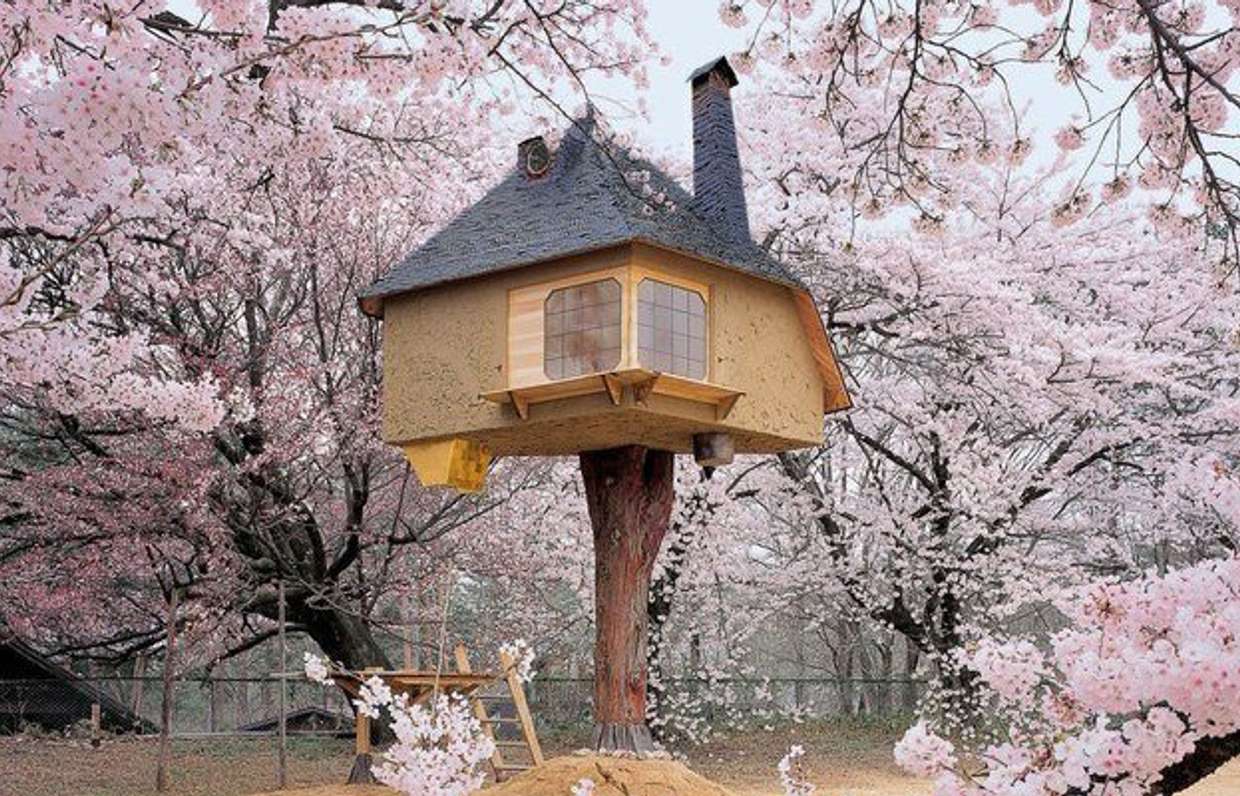 Чайный домик в Японии с сакурой
