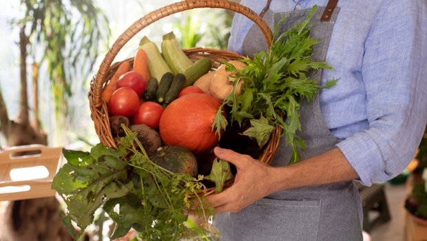 Августовский урожай: что приготовить из сезонных овощей и фруктов, чтобы удивить семью